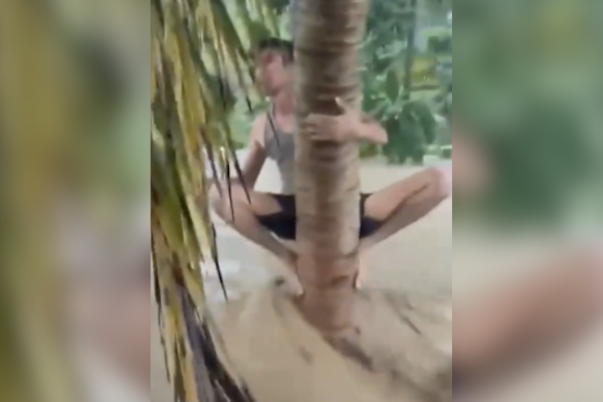 Indonesia, Rescate