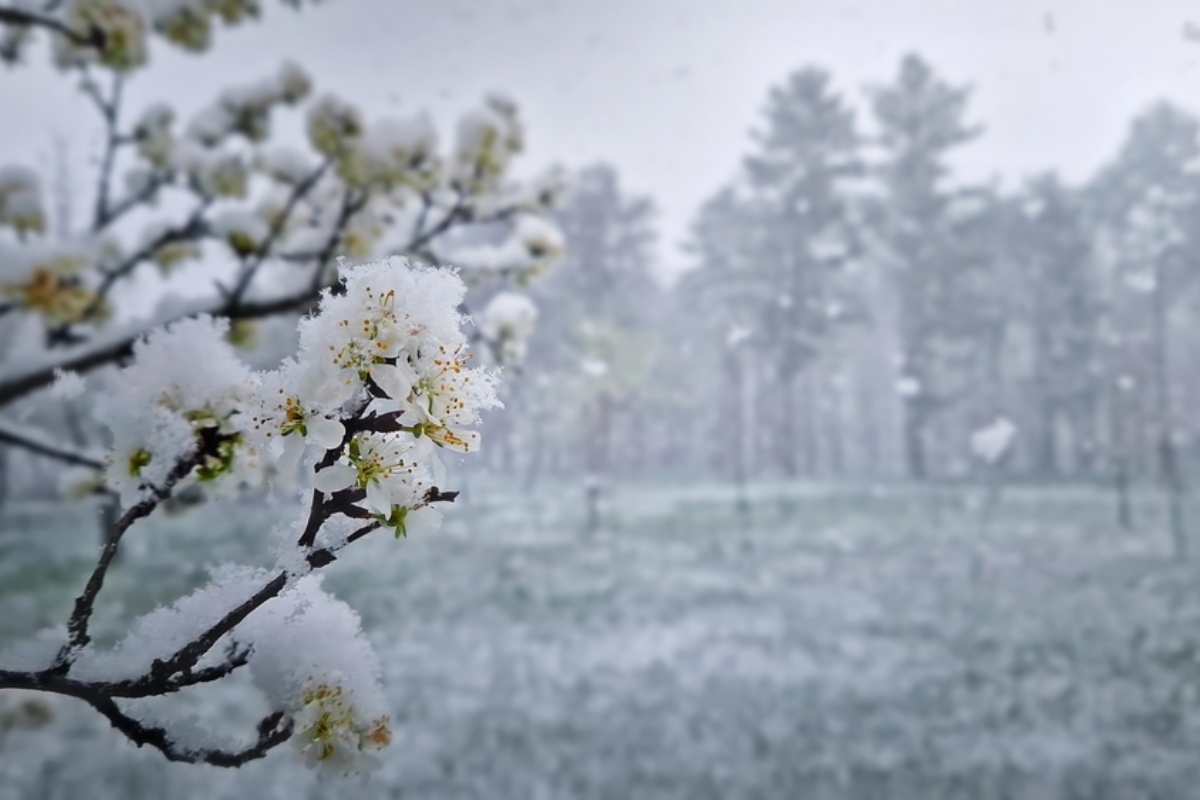 Tormenta invernal se expande
