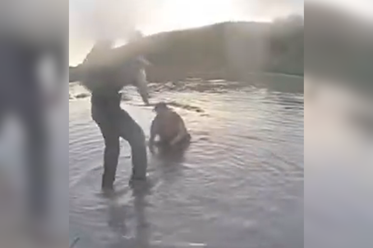 Bebé, Autoridades, Madre, cargos
