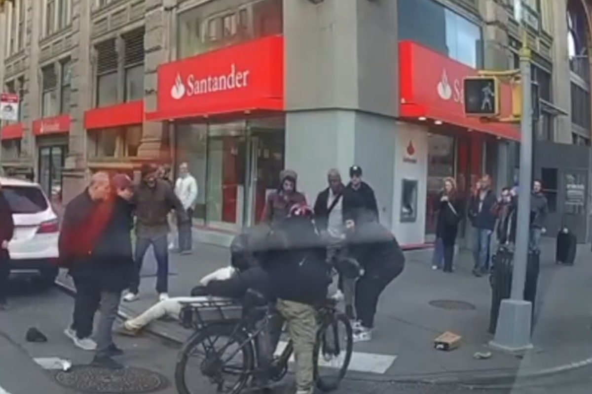 Ataque, Perro, Bebé, Manhattan