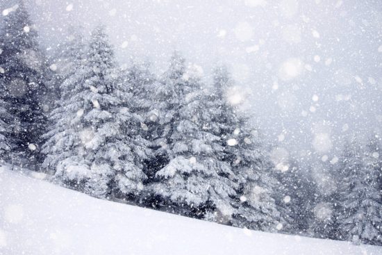 Sistema invernal promete más nieve