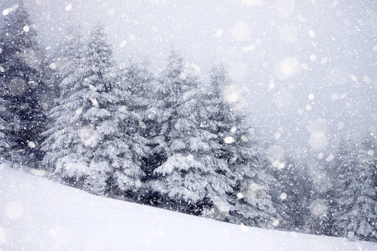 Sistema invernal promete más nieve