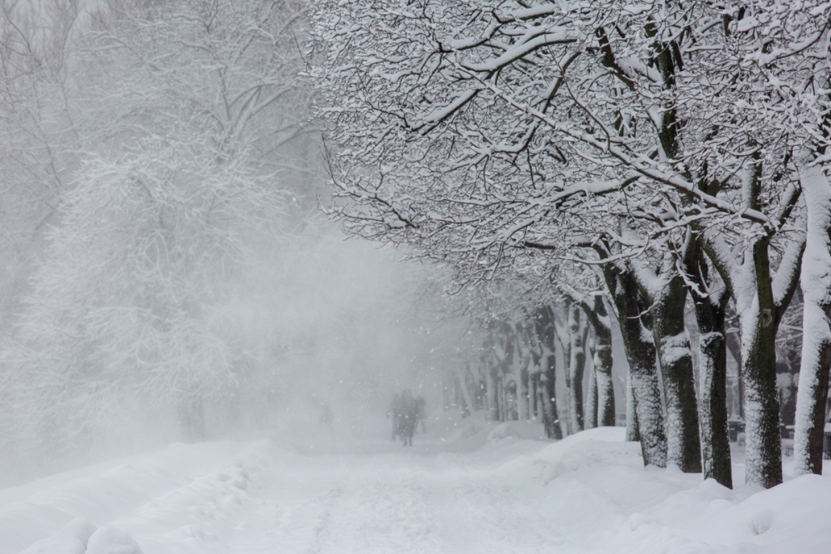 Sistema de nieve golpea a EEUU