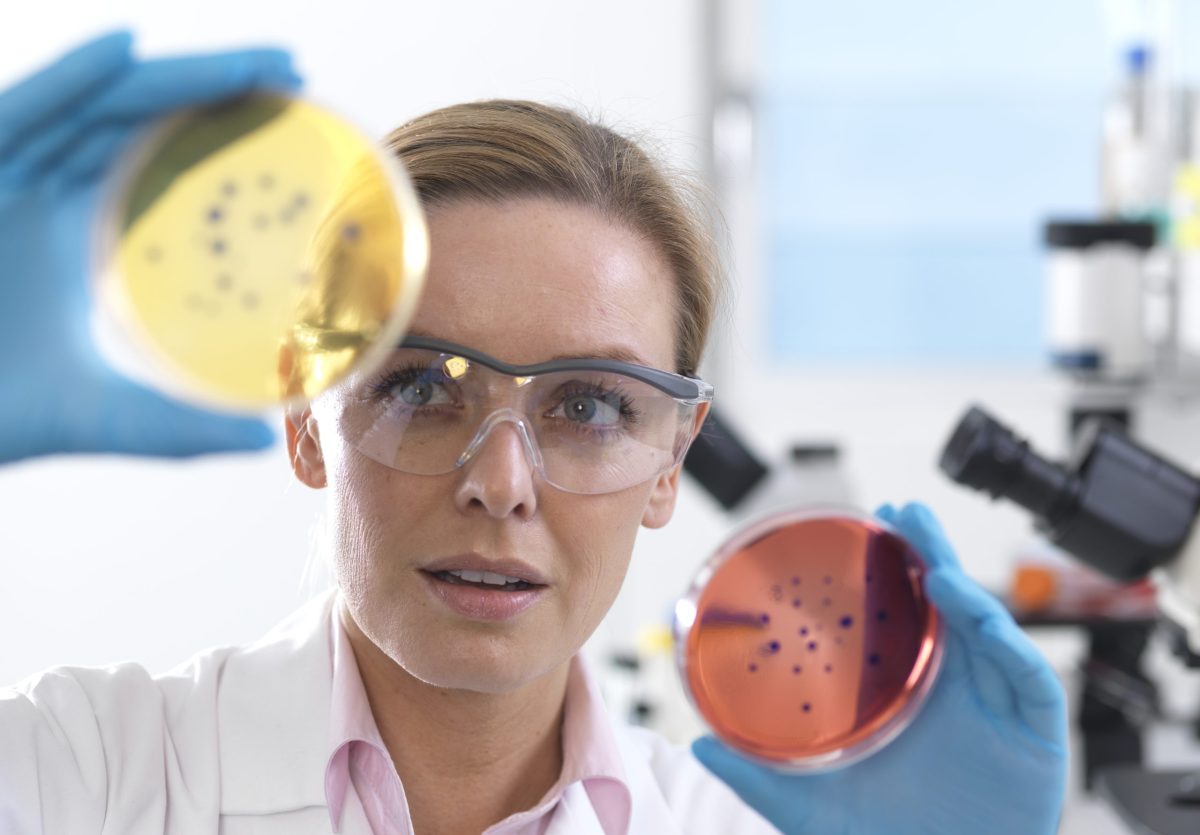 celulas, envejecimiento, ciencia 