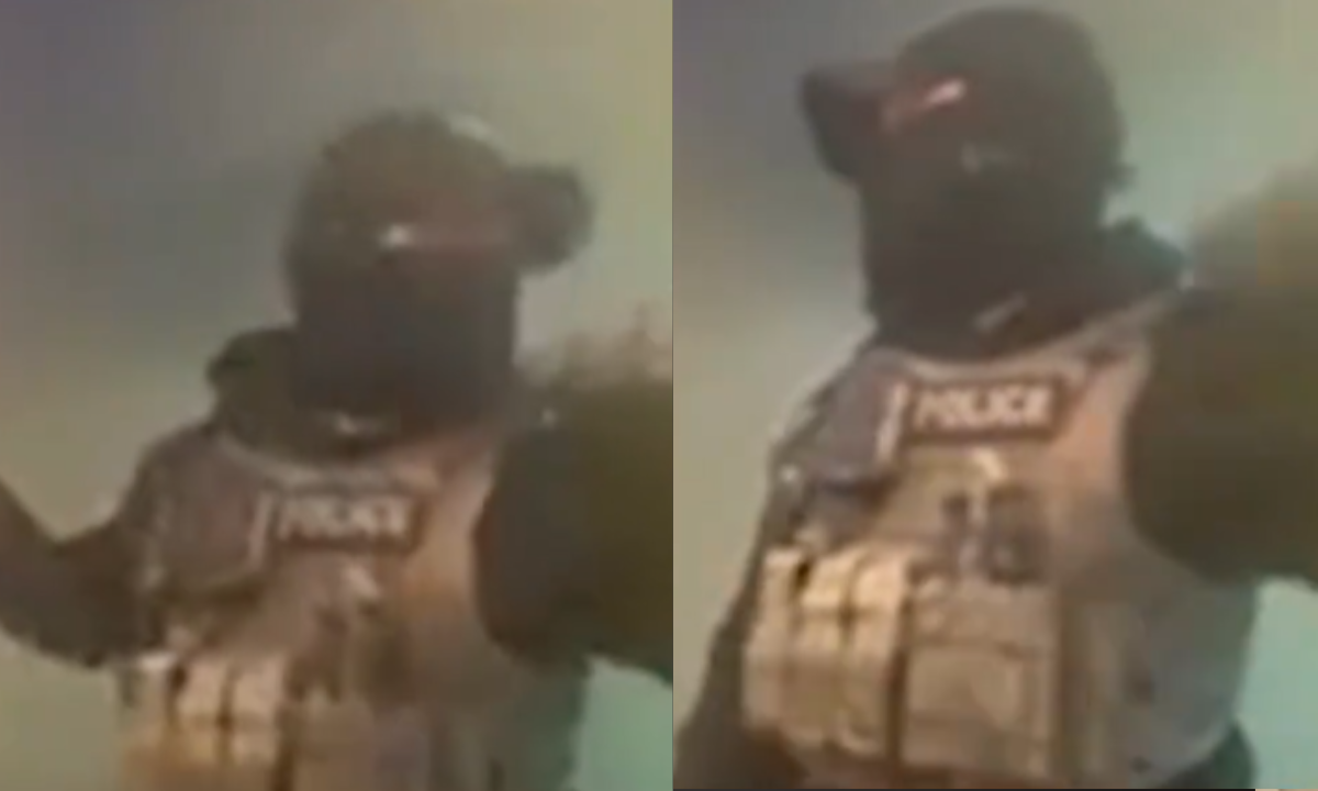 arresto, ice, puerta, abuso de poder , agentes, familia, orden
